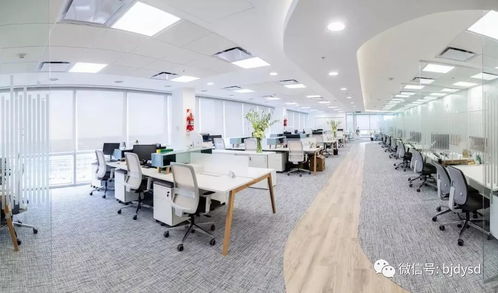 打破傳統刻板嚴肅印象,辦公場所也要小清新